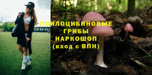 MDMA Premium VHQ Алзамай