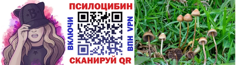 Галлюциногенные грибы Cubensis  Николаевск 